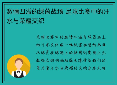 激情四溢的绿茵战场 足球比赛中的汗水与荣耀交织