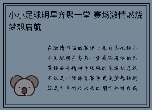 小小足球明星齐聚一堂 赛场激情燃烧梦想启航