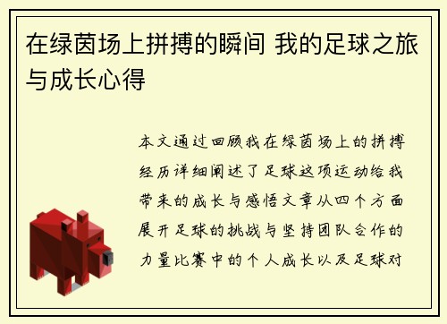 在绿茵场上拼搏的瞬间 我的足球之旅与成长心得