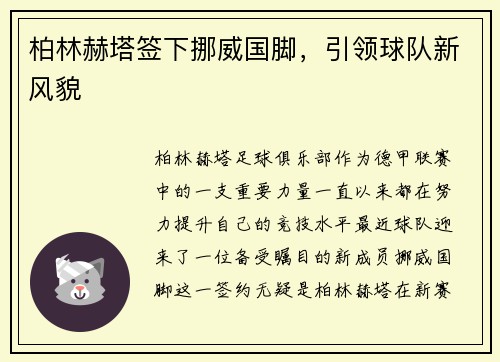 柏林赫塔签下挪威国脚，引领球队新风貌
