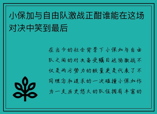 小保加与自由队激战正酣谁能在这场对决中笑到最后