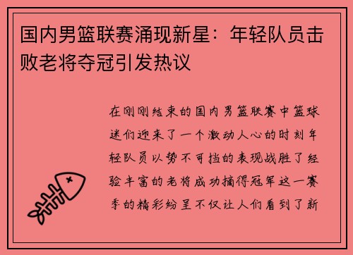 国内男篮联赛涌现新星：年轻队员击败老将夺冠引发热议