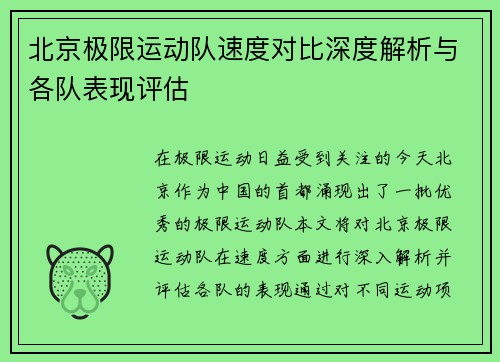 北京极限运动队速度对比深度解析与各队表现评估